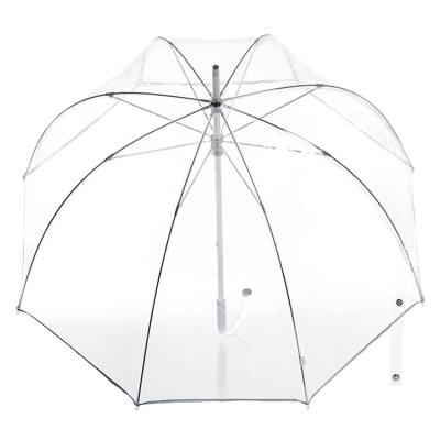 China Modern Fashionable PVC Clear Umbrella Transparent Curved Straight Umbrella for sale