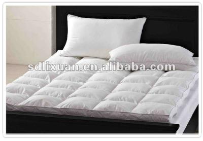 China Home Furniture 5 Star Hotel Thicken Duck / Goose Down Soft Mattress Topper for sale