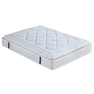 China Roll In A Box 8 Inch Tall Compress Rolled Pocket Spring Cuddle Mattress Foshan Manufacturer From China for sale