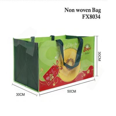 China Handled Non Woven Bag Rpet Bag Foldable Extra Large Waterproof Non Woven Shopping Bag for sale