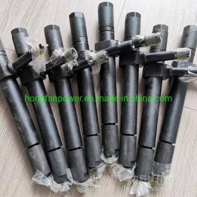 China Jdec B6190 Jichai Chidong Marine Diesel Engine Fuel Injector 12vb. 16.00e for sale