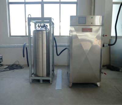 China 100kg/h Capacity Small Liquid Nitrogen Freezer Frozen Food Machine for sale