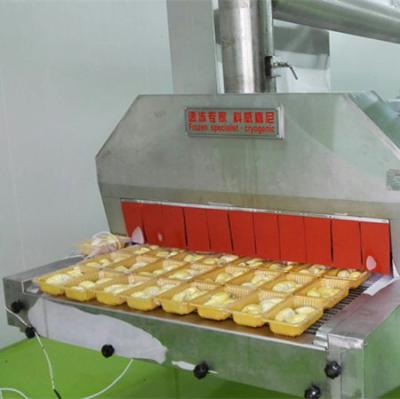 China Quick Freeze Frozen Food Machine for Frozen Durian for sale