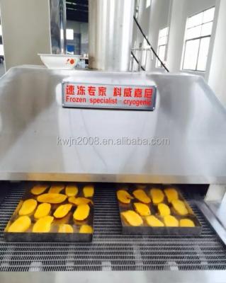 China Meat Freezer -150C, Instant Freezer for Durian, Strawberry, Mango for sale