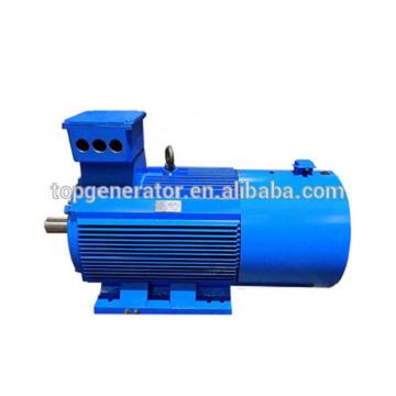 China Low Speed ​​Brushless Permanent Magnet Permanent Magnet Generator /PMA PMG P.M. Alternator Single Phase AC Wind Turbine Alternator for sale