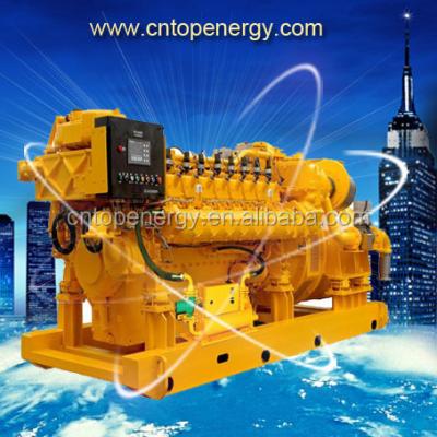 China High Efficiency 300kw Biogas Generator Set Adopt Biomass, Methane, CH4, Marsh Gas, LPG MeccAlte for sale