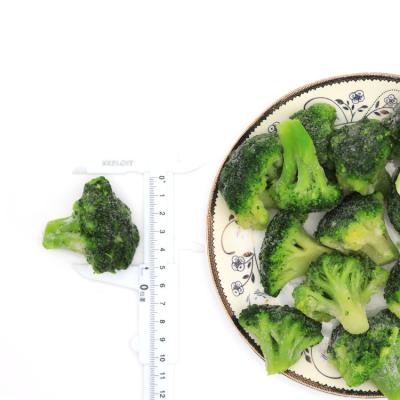 China New Winter Frozen Broccoli Crop1-3cm 2-4cm 3-5cm 4-6cm Frozen Broccoli IQF FROZEN for sale