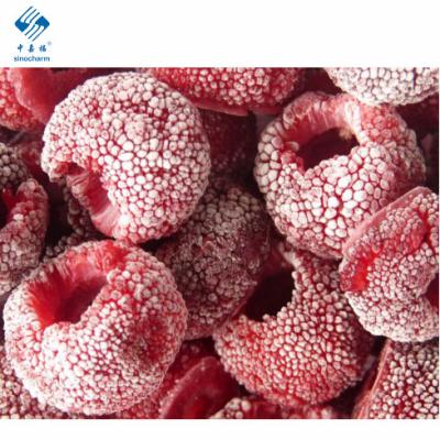 China New Frozen Red Bayberries IQF Culture Frozen Chinese Bayberry for sale