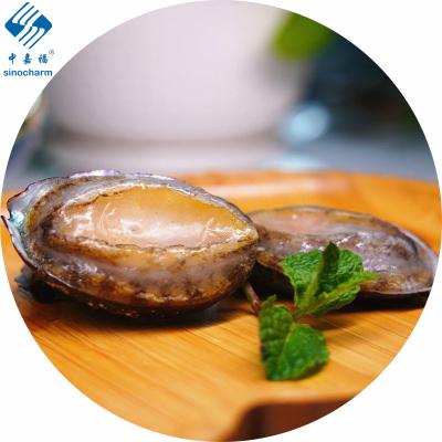 China FROZEN Supply for Shell's High Quality Abalone Free Shelled for sale