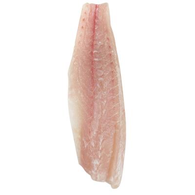 China NATURE Frozen Seafood Red Drum Frozen Fillets for sale