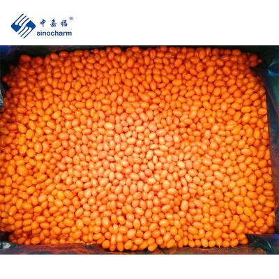 China IQF FROZEN Good Quality Sea Buckthorne Frozen Fruit for sale