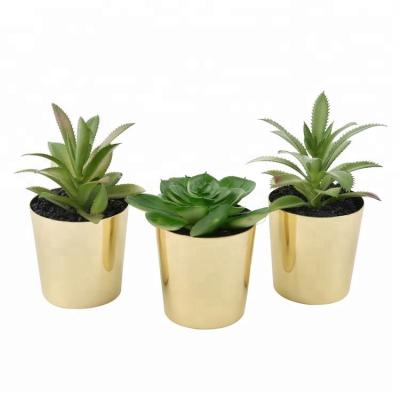 China Size about: 10*10*15cm Plants Color Metallic Faux Outdoor Plant Potted / Garden Potted Plant With Gold Plastic Pot for sale