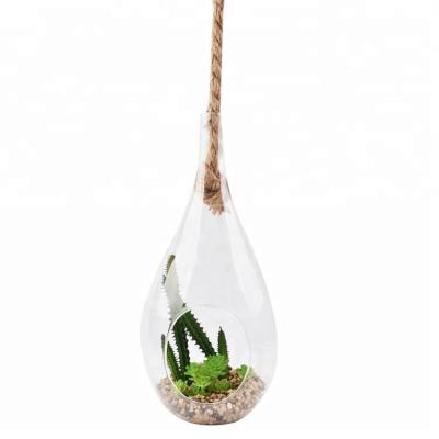 China Size about: 13*13*32cm Decorative Mini Wall Hanging Greenhouse Faux Glass Plant Potted With Water Pot for sale