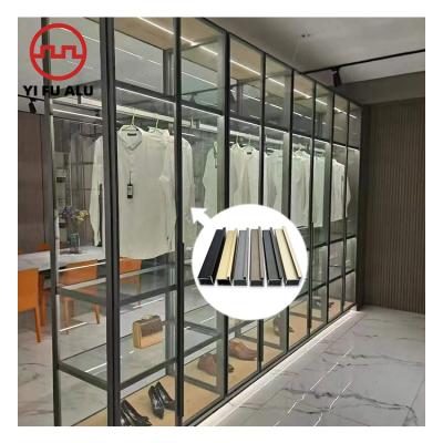 China Decorations Anodized Brushed Custom Front Glass Wardrobe Doors Poland OEM Aluminum Frame Profile for sale