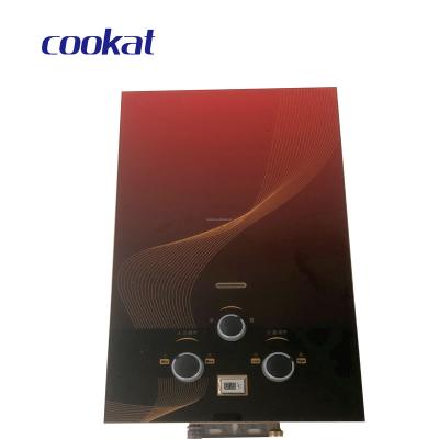 China Gas Hotel Home Appliance Instant Hot Water Heater Force Type Open Flue Water Heater for sale