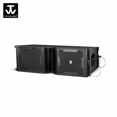 China Dual Powerful Line Array Speaker PA Speaker 10 Inch Professional Audio System LT-210 for sale