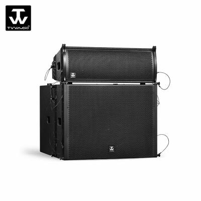 China NO Dual Line Array 8 Inch Speaker for sale