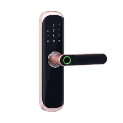 China Hot Sale Apartment Smart Home Wifi Tuya TTlock Fingerprint Password Master Card Remote Control Door Locks for sale