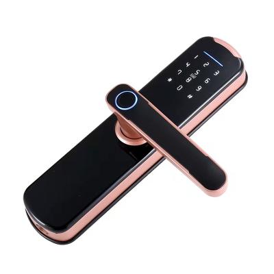 China Hot Sale Apartment Tuya TTlock Control Fingerprint Password Master Card Smart Door Lock for sale