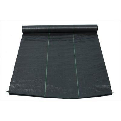 China Agricultural Cultivation Cloth Ground Cover PP Woven Fabric Black Weeding Agricultural Plastic Roll for sale