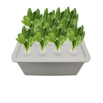 China Direct Selling CLASSIC Plastic Indoor Garden Seedling Box Balcony Vegetable Growing Planter Box Flowers Planting Container for sale