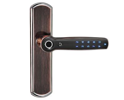 China Home Zinc Alloy Sliding Lock Fingerprint Door Lock Security Password Handle To Open Smart Outdoor Lock for sale