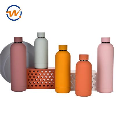 China Stainless Steel Bottle Stainless Steel Gym Gallon Viable Custom Sublimation Clear Reusable Drinking Sports Waterbottle for sale