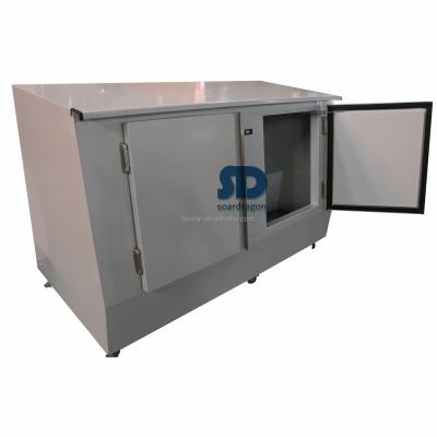 China Single-Temperature Soardragon Style -5 Degree Horizontal Bagged Ice Merchandiser Freezer with Slant Door for Gas Station Bagged Ice Storage for sale