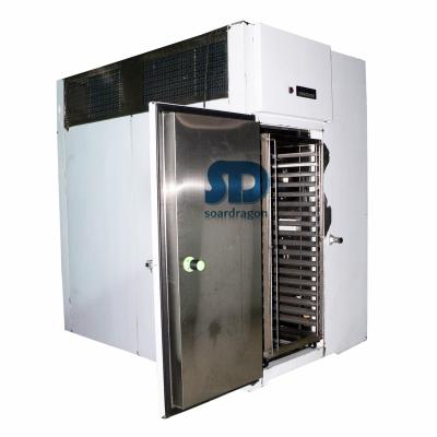 China Single-Temperature Wholesale Price Custom Solid Door Stainless Steel Blast Freezer Use For Seafood for sale