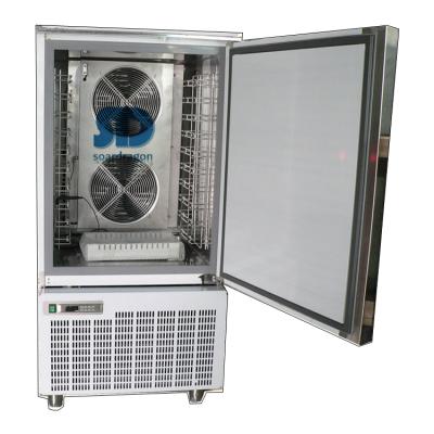 China Commercial Single-Temperature Single Door Stainless Steel Freezer For Fish With -35 Degree for sale