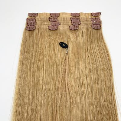 China Shiny Clip In Hair Extensions Hair Highlight Clip In Hair Extensions #18 Clip In Extensions for sale