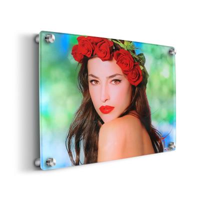 China Long Durable Photo Printing Custom High Clear Acrylic Wall Art UV Acrylic Signs for sale