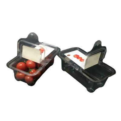 China PET Plastic Packaging Boxes Clamshell Plastic Containers Freshness Visible for sale