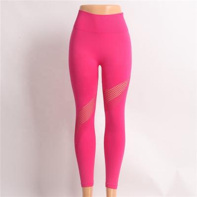 China Premium Plus Yoga Fitness Antibacterial Customized High Waisted Workout Leggings for sale