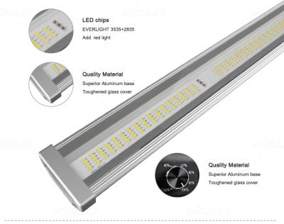 China Seed Starting Violet LED Grow Light Indoor Plants 0-10V Dimmable Full Spectrum 640W Grow Light for sale