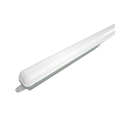 China Car Washroom Clipless IP65 LED Linear Light IP65 LED Batten Lighting Fixtures Waterproof For Wet Area for sale