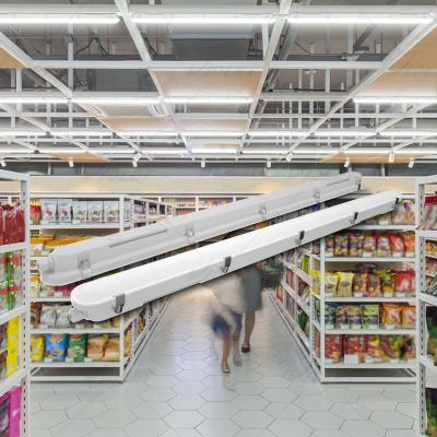 China Warehouse IP65 IK08 tri-proof light led triproof lamp led batten light IP66 led batten light for sale