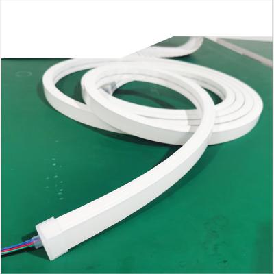 China Hotel Customized Neon Lighting Decorated Length IP67 LED Neon Rope Optional Neon Lighting Flexible High Voltage Neon Light Color LED for sale