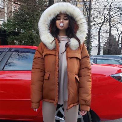 China Brown Fur Jacket Anti-wrinkle Women Winter Clothing Fashion Hooded Coat Long Black Thick Warm Parkas for sale