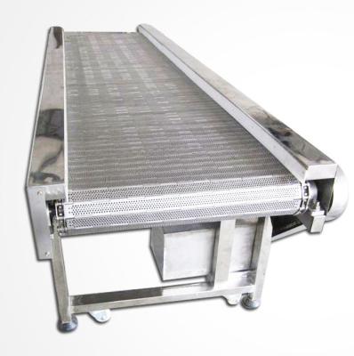 China Factory Scraped Hinged Type Chip Belt Conveyor for sale