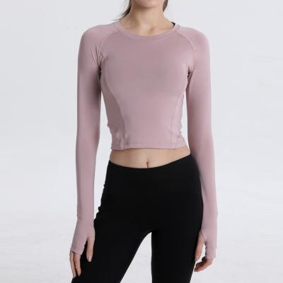 China New Breathable Women Slim Yoga Top Long Sleeve Breathable Workout Running Round Neck Gym Quick Dry Sports for sale