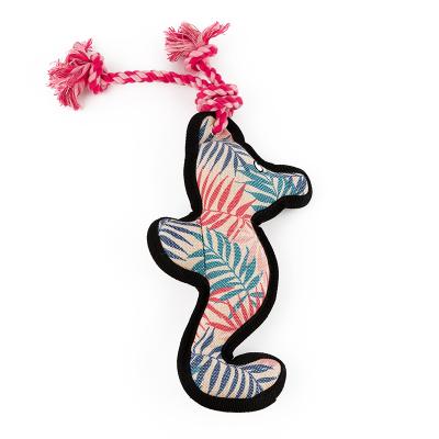 China Pakeway Sustainable Rope Pet Toys - Chew Toy with Rope Seahorse for sale