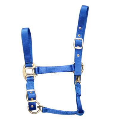 China Durable Comfortable PP Webbing Halter, China Custom Halter for sale