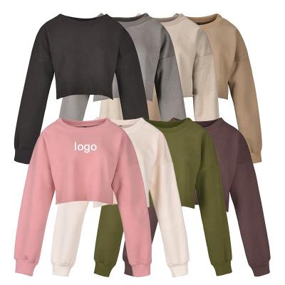 China Anti-Wrinkle OEM Printing Simple Sexy Ladies Crop Top Fitness Crop Hoodies Pullover Long Sleeve Women Top Hoodies for sale