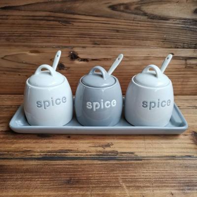 China Viable European Style Household Ceramic Kitchen Take Care Spice Jar Stoneware Spice Tools Salt Sugar Pepper With Spoon for sale