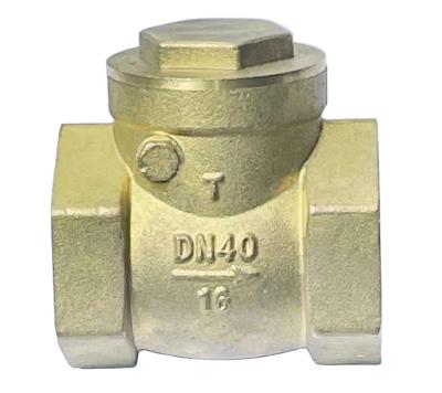 China OEM ODM Brass Check Valve Swing Check Valves General Factory Price Variety Diameter On Sale for sale