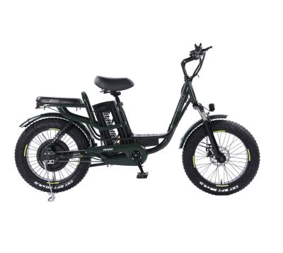 China 2022 New Carbon Steel Durable Electric Fat Tire Ebike 500W 24Ah City Model Electric Bike For Snow And Beach for sale