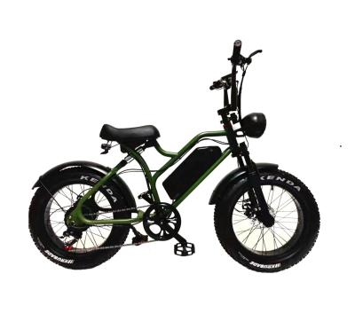 China Carbon Steel Most Popular 20inch 500W/750W/1000W Long Range Electric Bicycle E Bike Fat Tire Snow Beach Bike For Adult for sale