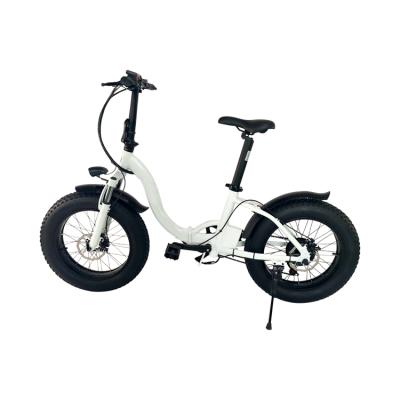 China Electric ebike 20