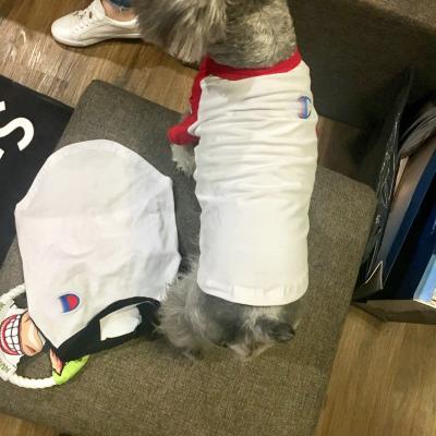 China JXANRY Fashion White Dog Shirt Viable Summer New Style Pet Clothes Popular Luxury Pet Cat Coat Cool Wearing for sale